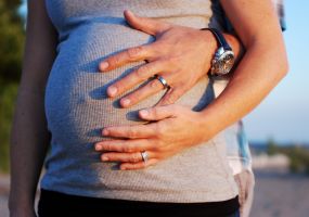 Your pregnancy: week by week. Part 2