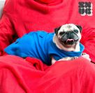 ONE DOGGY Dog Blanket | SNUG SNUG
