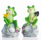 Oh My Home Decorative Solar Frog